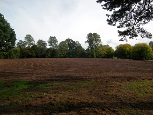 queenspark 049